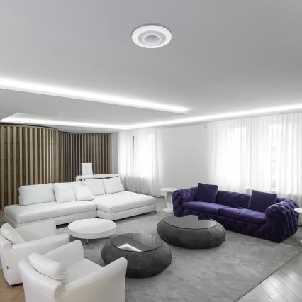Rabalux - Plafón LED RGB regulable LED/40W/230V 3000-6000K diá. 50 cm + control remoto