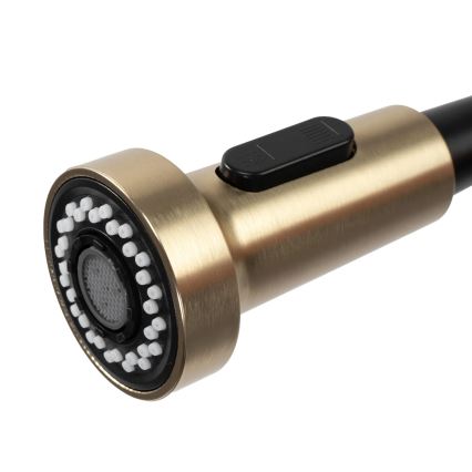 REA-B4821 - Grifo para fregadero con rociador extraíble COLIN 42,5 cm, acabado oro cepillado