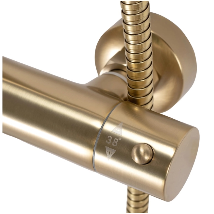 REA-P2323 - Juego de ducha con grifo termostático PAROT, acabado oro cepillado