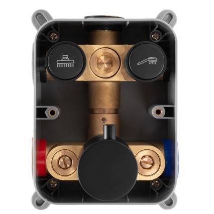 REA-P8551 - Conjunto de ducha LUNGO con mezclador termostático empotrado, acabado en oro cepillado
