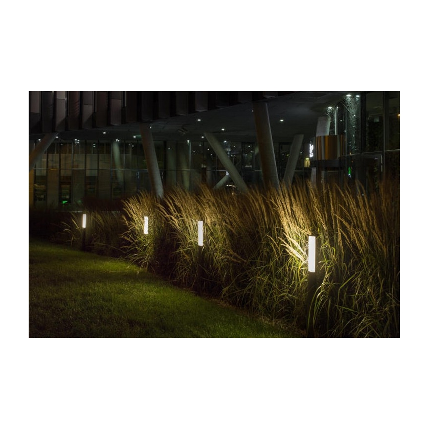 RED - Design Rendl - R10548 - Lámpara LED de exterior VADIS LED/8W/230V IP54