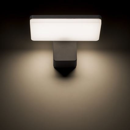 RED - Design Rendl - R11947- Aplique LED para exterior RINA LED/12W/230V IP65