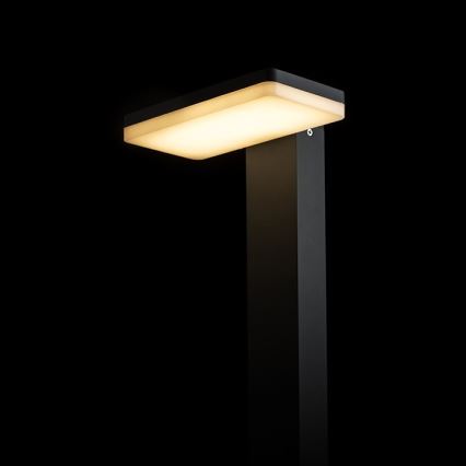 RED - Design Rendl - R12515 - Lámpara LED de exterior RINA LED/12W/230V IP44