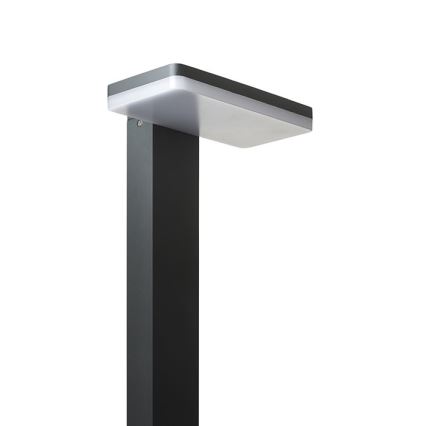 RED - Design Rendl - R12515 - Lámpara LED de exterior RINA LED/12W/230V IP44