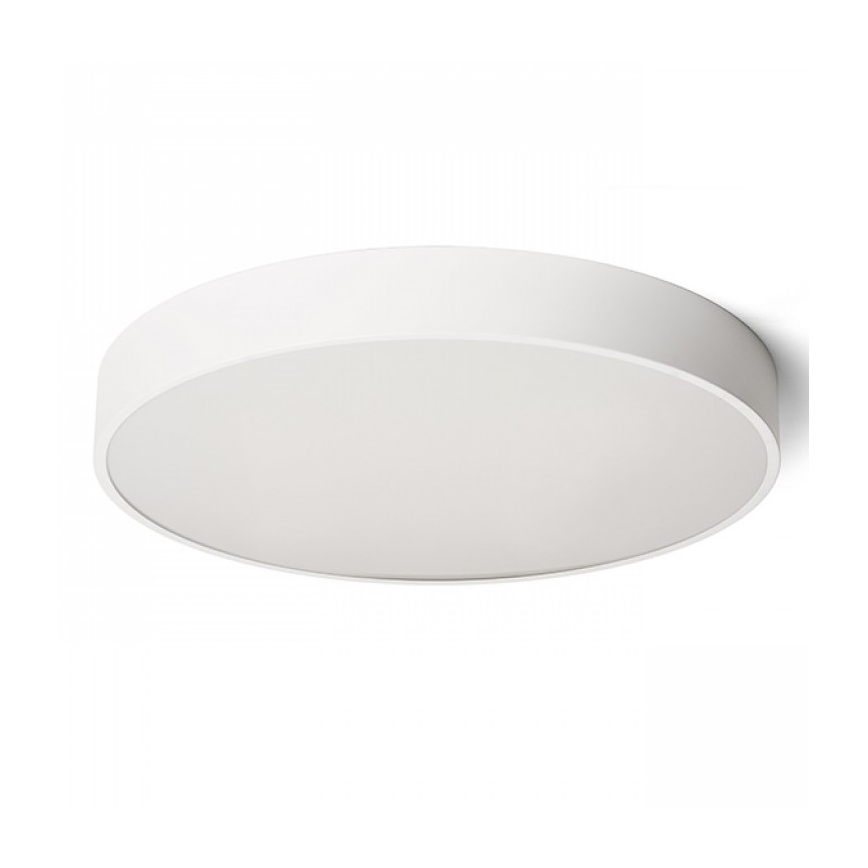 RED - Design Rendl - R13334 - Plafón LED MEZZO LED/100W/230V blanco