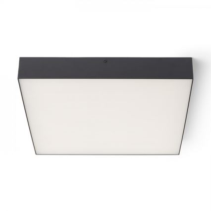 RED - Design Rendl - R13490 - Plafón LED LARISA LED/50W/230V negro