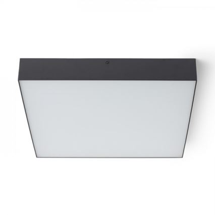 RED - Design Rendl - R13490 - Plafón LED LARISA LED/50W/230V negro