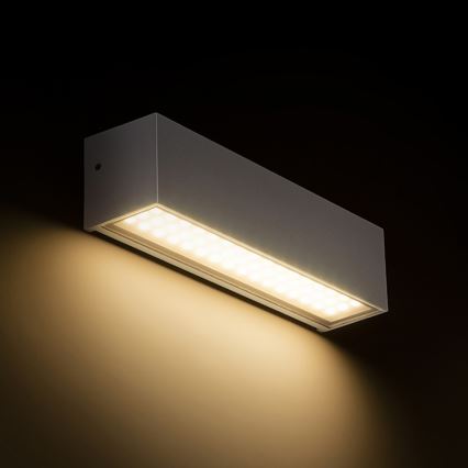 RED - Design Rendl - R13527 - Aplique LED para exterior CAMARGUE LED/6W/230V IP65