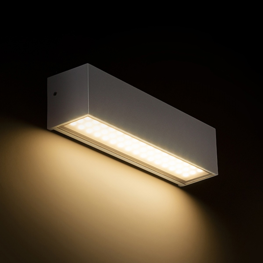 RED - Design Rendl - R13527 - Aplique LED para exterior CAMARGUE LED/6W/230V IP65