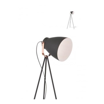 Redo 01-1276 - Lámpara de pie ARNE 1xE27/42W/230V negra