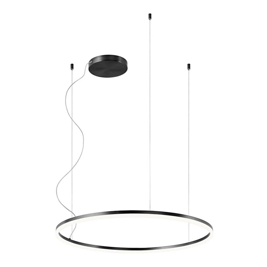 Redo 01-1949 - Lámpara LED colgante ORBIT LED/55W/230V