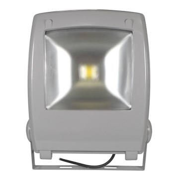 Reflector LED FLOOD FE-N LED/50W/230V IP65