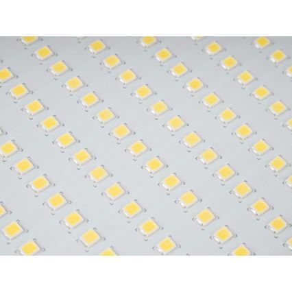 Reflector LED para exteriores STAR LED/150W/230V IP65 5000K