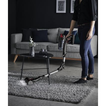 Rowenta - Aspiradora escoba 2 en 1 X-FORCE FLEX ANIMAL CARE 320W/25,2V negro 2000 mAh