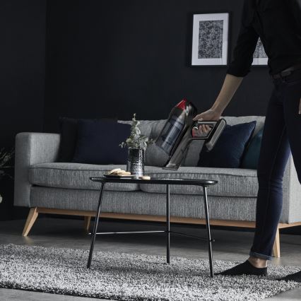 Rowenta - Aspiradora escoba X-FORCE FLEX ANIMAL CARE 320W/25,2V negra 2000 mAh