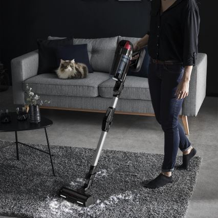 Rowenta - Aspiradora escoba X-FORCE FLEX ANIMAL CARE 320W/25,2V negra 2000 mAh