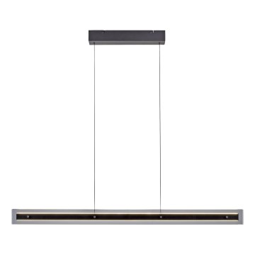 Schöner Wohnen 11316-18 - Lámpara colgante LED regulable suspendida por cable LENA LED/32W/230V 105 cm negra