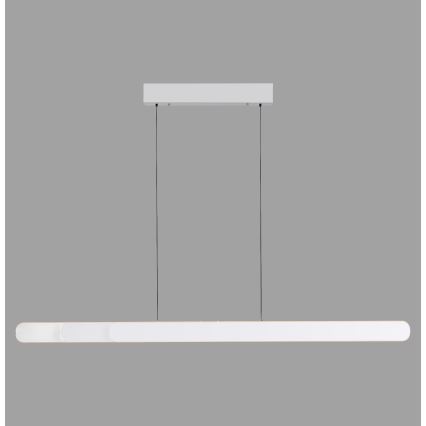 Schöner Wohnen 12577-16 - Lámpara colgante regulable suspendida por cable ADRIANA ROUND 2xLED/24W/230V 2700/3000/3500/4000/5000K blanco