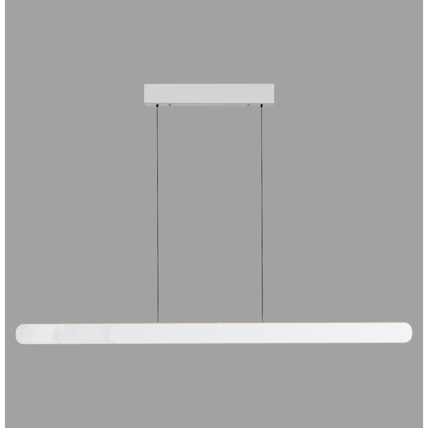 Schöner Wohnen 12577-16 - Lámpara colgante regulable suspendida por cable ADRIANA ROUND 2xLED/24W/230V 2700/3000/3500/4000/5000K blanco