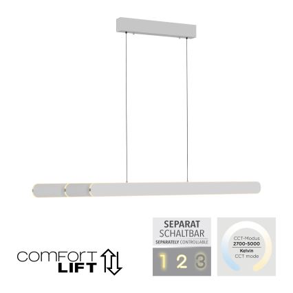 Schöner Wohnen 12577-16 - Lámpara colgante regulable suspendida por cable ADRIANA ROUND 2xLED/24W/230V 2700/3000/3500/4000/5000K blanco