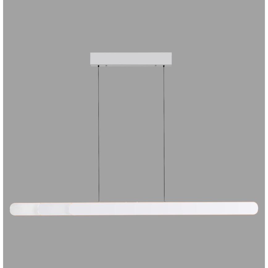 Schöner Wohnen 12577-16 - Lámpara colgante LED regulable con cable ADRIANA ROUND 2xLED/24W/230V 2700/3000/3500/4000/5000K 160 cm blanco