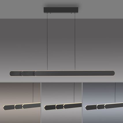 Schöner Wohnen 12577-18 - Lámpara colgante LED regulable suspendida por cable ADRIANA ROUND 2xLED/24W/230V 2700/3000/3500/4000/5000K negra