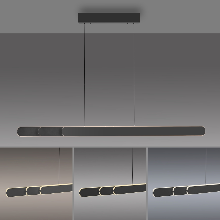 Schöner Wohnen 12577-18 - Lámpara colgante LED regulable suspendida por cable ADRIANA ROUND 2xLED/24W/230V 2700/3000/3500/4000/5000K negra