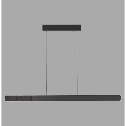 Schöner Wohnen 12577-18 - Lámpara colgante LED regulable suspendida por cable ADRIANA ROUND 2xLED/24W/230V 2700/3000/3500/4000/5000K negra