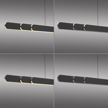 Schöner Wohnen 12577-18 - Lámpara colgante LED regulable suspendida por cable ADRIANA ROUND 2xLED/24W/230V 2700/3000/3500/4000/5000K negra