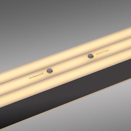 Schöner Wohnen 12577-18 - Lámpara colgante LED regulable suspendida por cable ADRIANA ROUND 2xLED/24W/230V 2700/3000/3500/4000/5000K negra