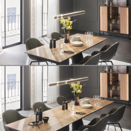 Schöner Wohnen 12577-39 - Lámpara colgante LED regulable suspendida por cable ADRIANA ROUND 2xLED/24W/230V 2700/3000/3500/4000/5000K 160 cm, gris