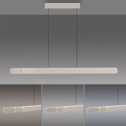 Schöner Wohnen 12577-39 - Lámpara colgante LED regulable suspendida por cable ADRIANA ROUND 2xLED/24W/230V 2700/3000/3500/4000/5000K 160 cm, gris