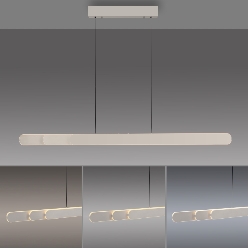 Schöner Wohnen 12577-39 - Lámpara colgante LED regulable suspendida por cable ADRIANA ROUND 2xLED/24W/230V 2700/3000/3500/4000/5000K 160 cm, gris