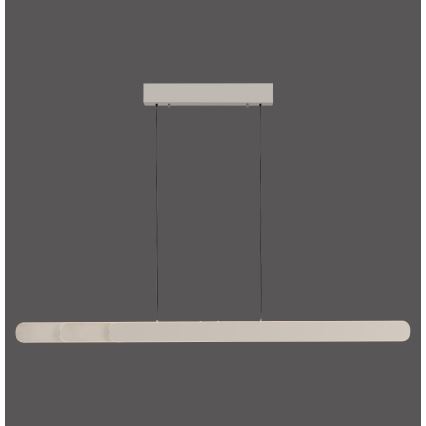 Schöner Wohnen 12577-39 - Lámpara colgante LED regulable suspendida por cable ADRIANA ROUND 2xLED/24W/230V 2700/3000/3500/4000/5000K 160 cm, gris