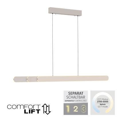 Schöner Wohnen 12577-39 - Lámpara colgante LED regulable suspendida por cable ADRIANA ROUND 2xLED/24W/230V 2700/3000/3500/4000/5000K 160 cm, gris