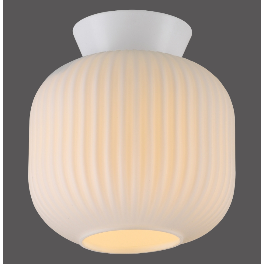 Schöner Wohnen 13574-16 - Lámpara de techo NAMI 1xE27/25W/230V Ø 20 cm blanca