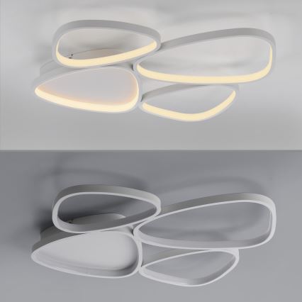 Schöner Wohnen 14038-16 - Lámpara de techo LED regulable PEBBLES LED/35,5W/230V blanca