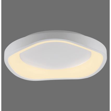 Schöner Wohnen 14233-16 - Luminaria de techo LED regulable MONTA LED/21W/230V Ø 40 cm blanca