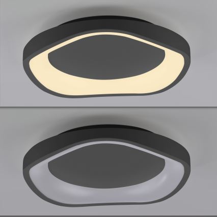 Schöner Wohnen 14233-18 - Luminaria de techo LED regulable MONTA LED/21W/230V Ø 40 cm negra