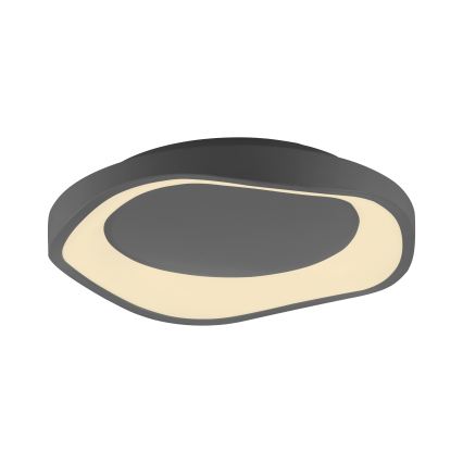 Schöner Wohnen 14233-18 - Luminaria de techo LED regulable MONTA LED/21W/230V Ø 40 cm negra