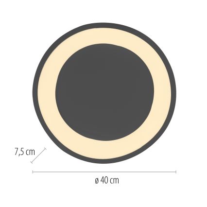 Schöner Wohnen 14233-18 - Luminaria de techo LED regulable MONTA LED/21W/230V Ø 40 cm negra