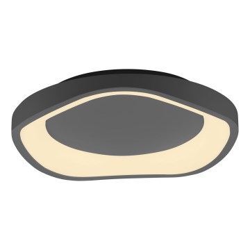 Schöner Wohnen 14233-18 - Luminaria de techo LED regulable MONTA LED/21W/230V Ø 40 cm negra