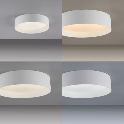 Schöner Wohnen 14593-16 - Lámpara de techo LED regulable TAVOLI LED/10W/230V 2700-6500K Ø 28,5 cm blanca + mando a distancia