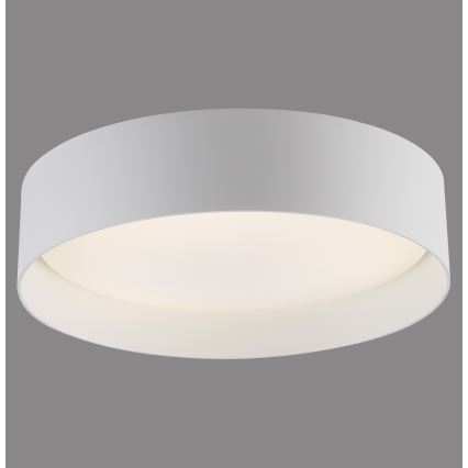 Schöner Wohnen 14593-16 - Lámpara de techo LED regulable TAVOLI LED/10W/230V 2700-6500K Ø 28,5 cm blanca + mando a distancia