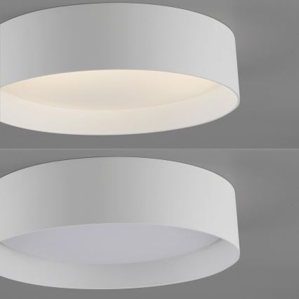 Schöner Wohnen 14593-16 - Lámpara de techo LED regulable TAVOLI LED/10W/230V 2700-6500K Ø 28,5 cm blanca + mando a distancia