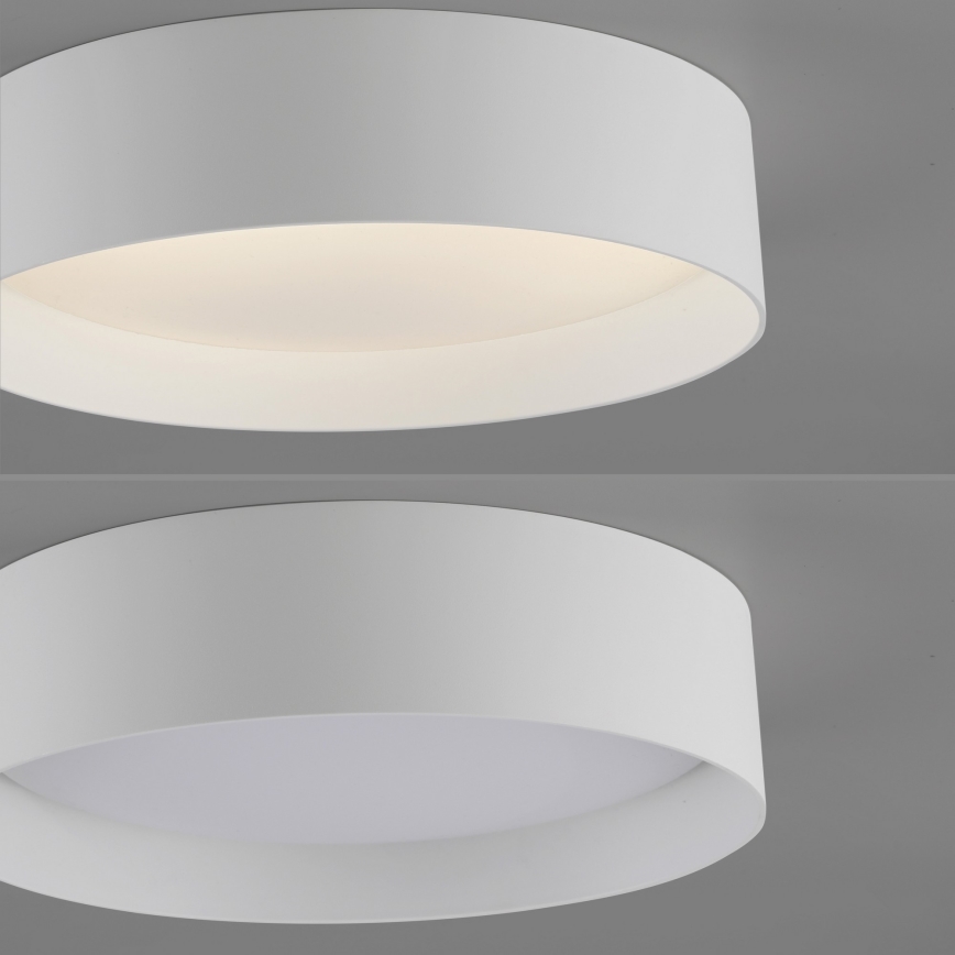 Schöner Wohnen 14593-16 - Lámpara de techo LED regulable TAVOLI LED/10W/230V 2700-6500K Ø 28,5 cm blanca + mando a distancia