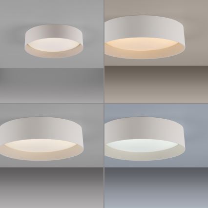 Schöner Wohnen 14593-39 - Luminaria de techo LED regulable TAVOLI LED/10W/230V 2700-6500K Ø 28,5 cm gris + mando a distancia