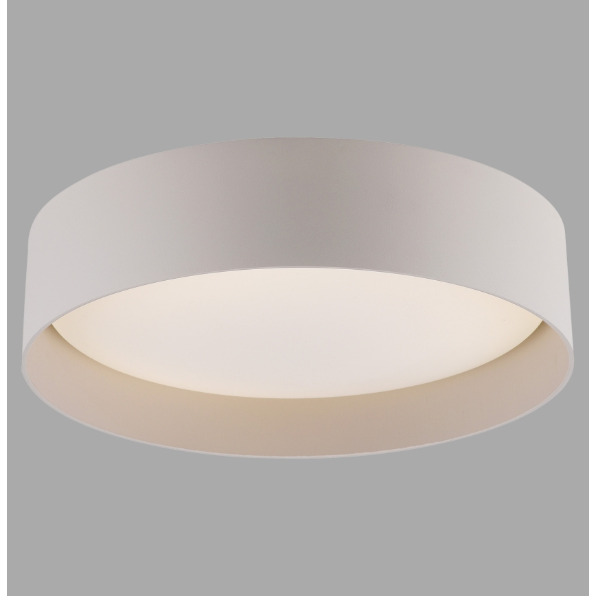 Schöner Wohnen 14593-39 - Luminaria de techo LED regulable TAVOLI LED/10W/230V 2700-6500K Ø 28,5 cm gris + mando a distancia