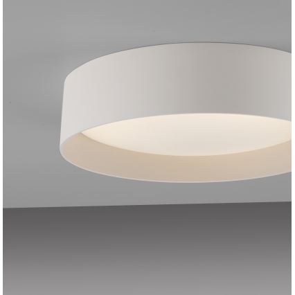 Schöner Wohnen 14593-39 - Luminaria de techo LED regulable TAVOLI LED/10W/230V 2700-6500K Ø 28,5 cm gris + mando a distancia