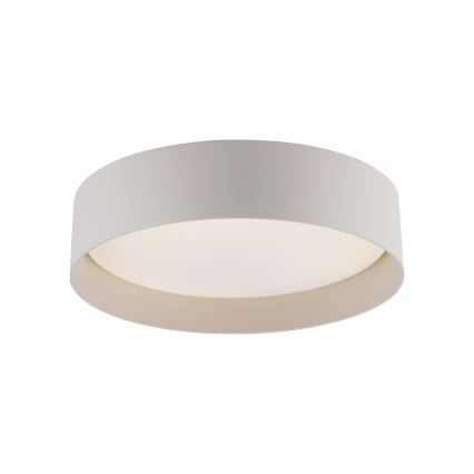 Schöner Wohnen 14593-39 - Luminaria de techo LED regulable TAVOLI LED/10W/230V 2700-6500K Ø 28,5 cm gris + mando a distancia